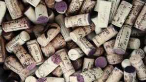 da-madeira-ao-vinho-madeira.